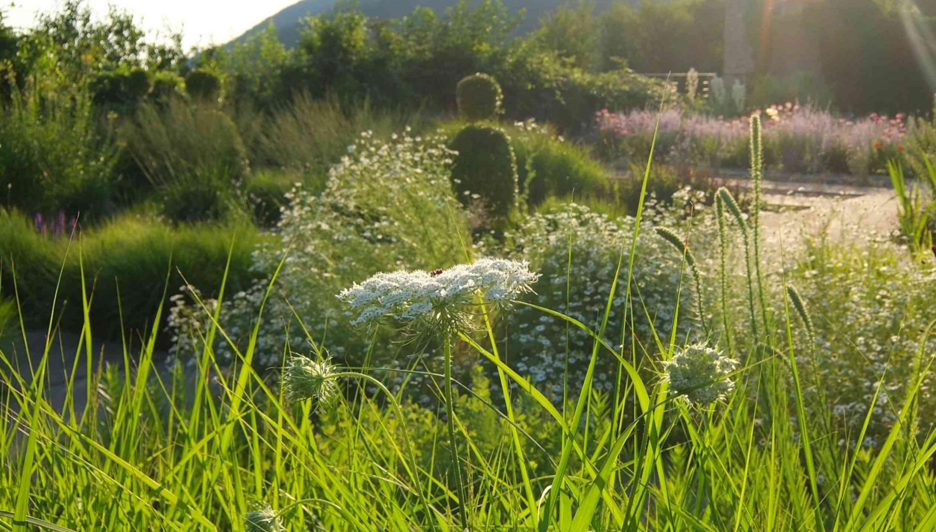 33. FEIERABEND. Terrassengarten am Stift Neuburg